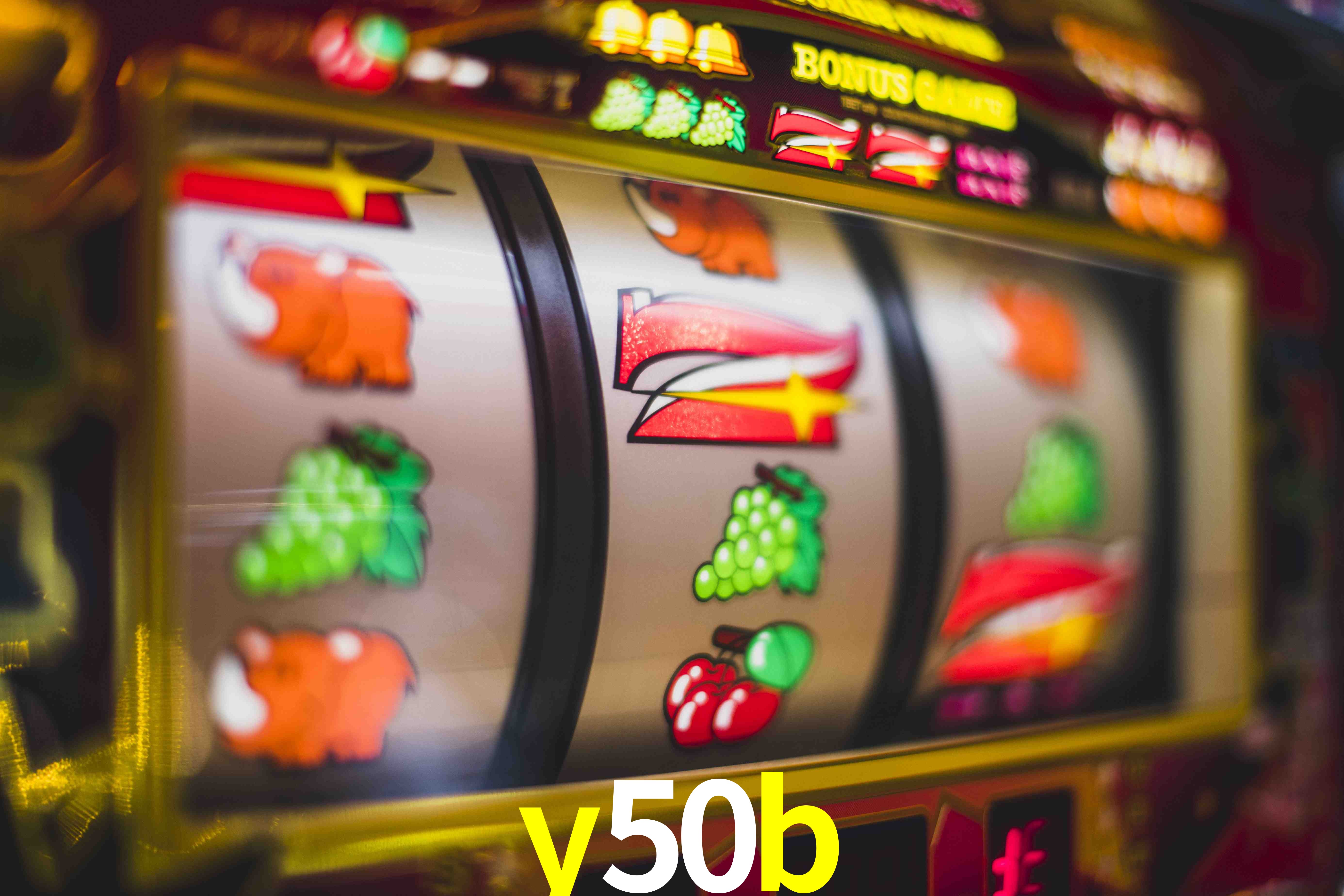 Basketball Betting y50b